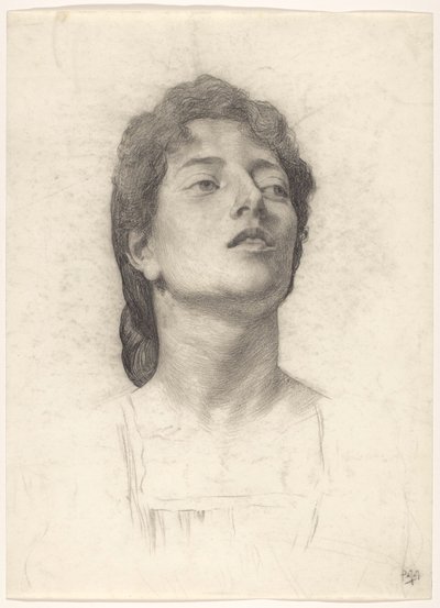 Retrato de una mujer de Pieter de Josselin